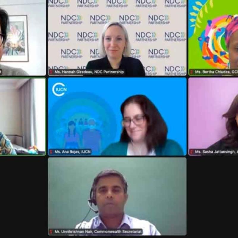 news-ndc-webinar