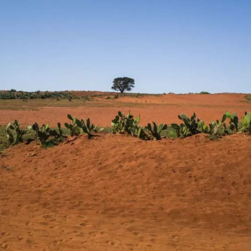 general-view-landscape