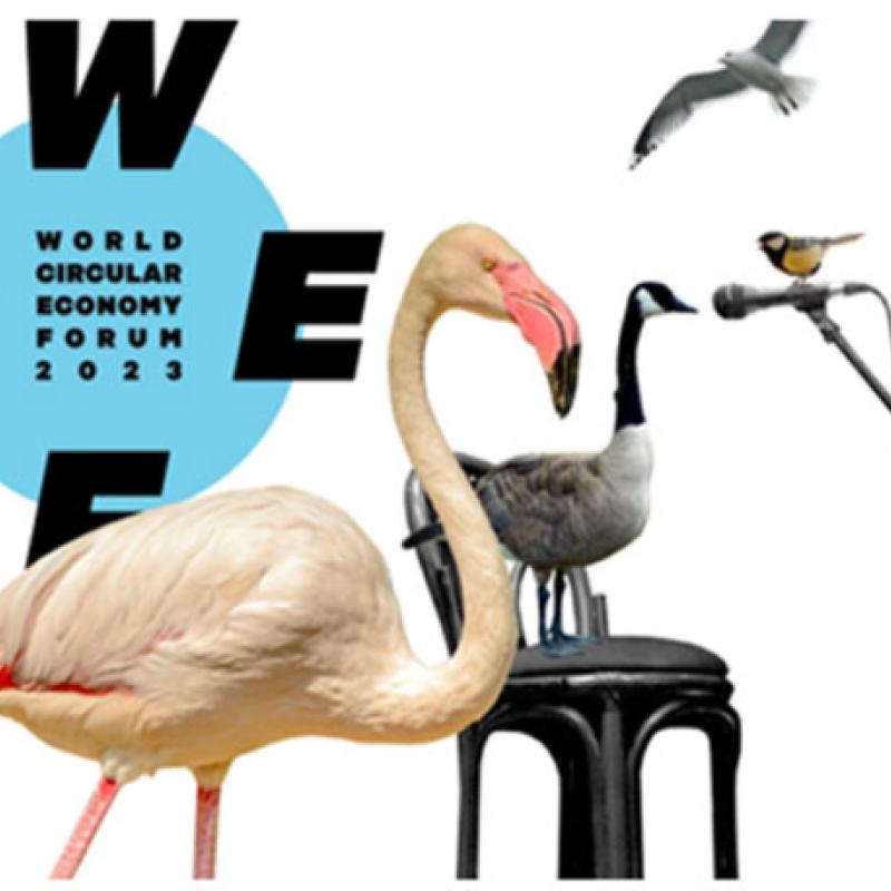 banner-wcef-1500